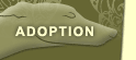 adoption