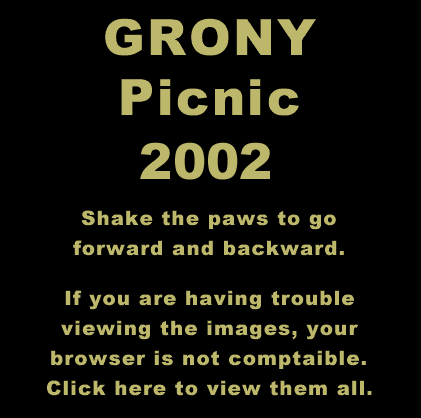 GRONY Picnic 2002 Image