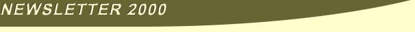 newsletter2000