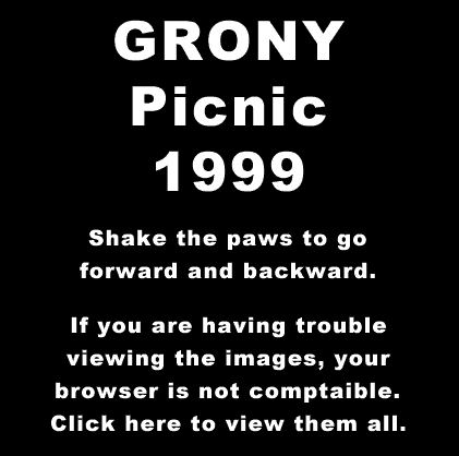 GRONY Picnic 99 Image